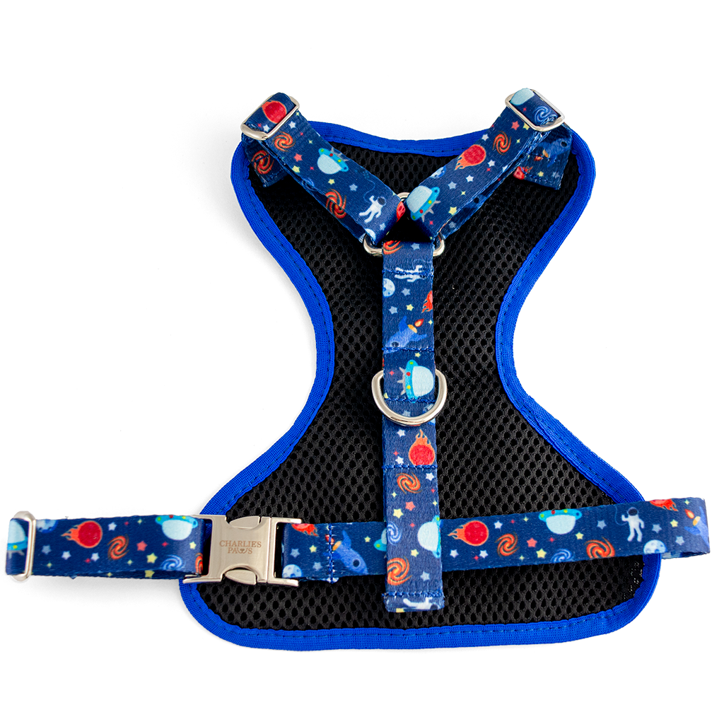 Space Harness