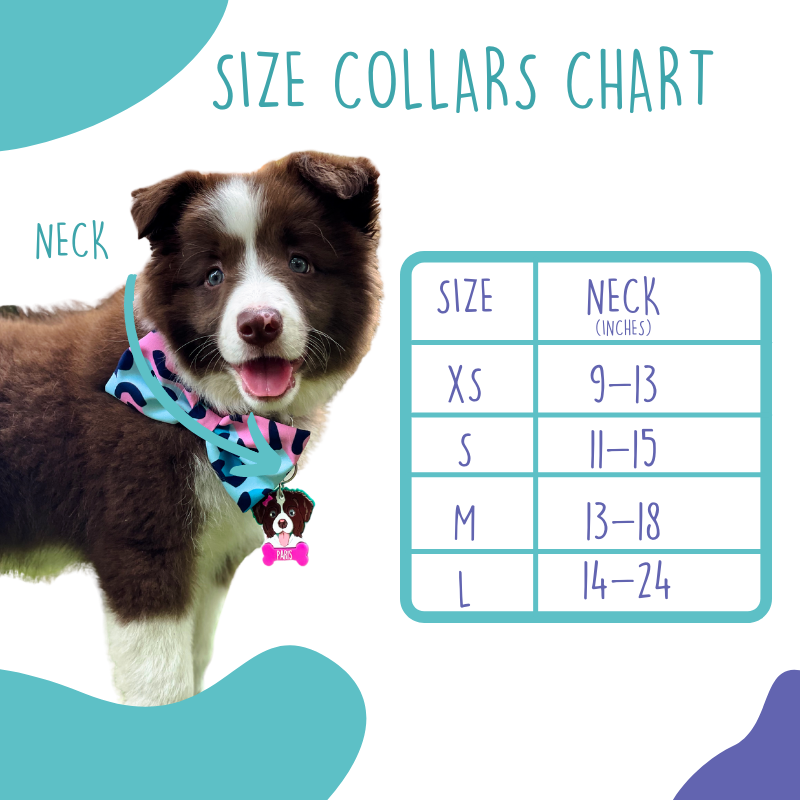 Dino collars discount