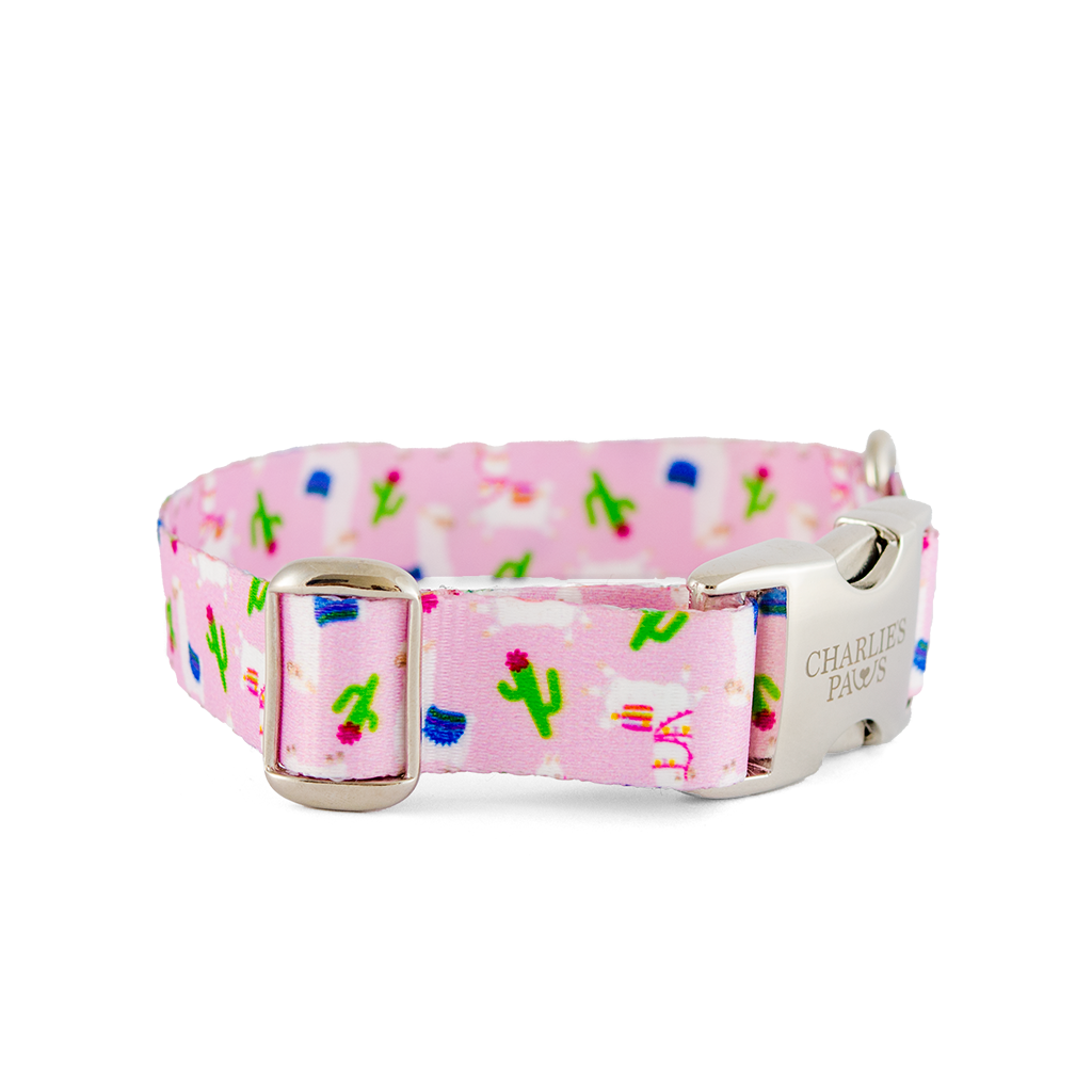 Alpaca Collar Charlie s Paws alpaca-collar-charlie-s-paws