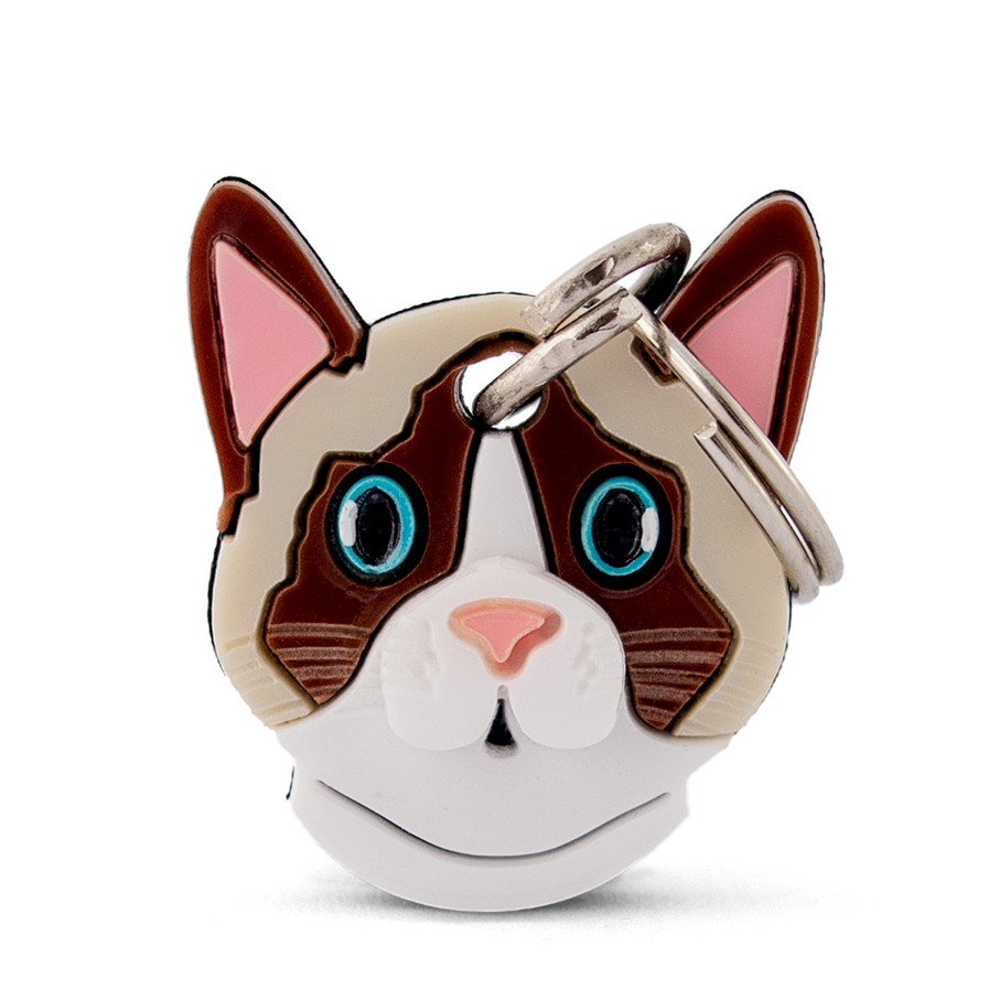 Ragdoll