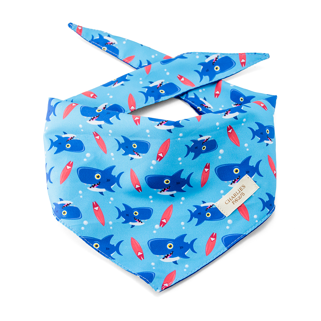 Shark Bandana – Charlie's Paws