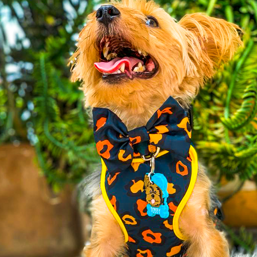 Charlie s Dog ID Tags Charlie s Paws