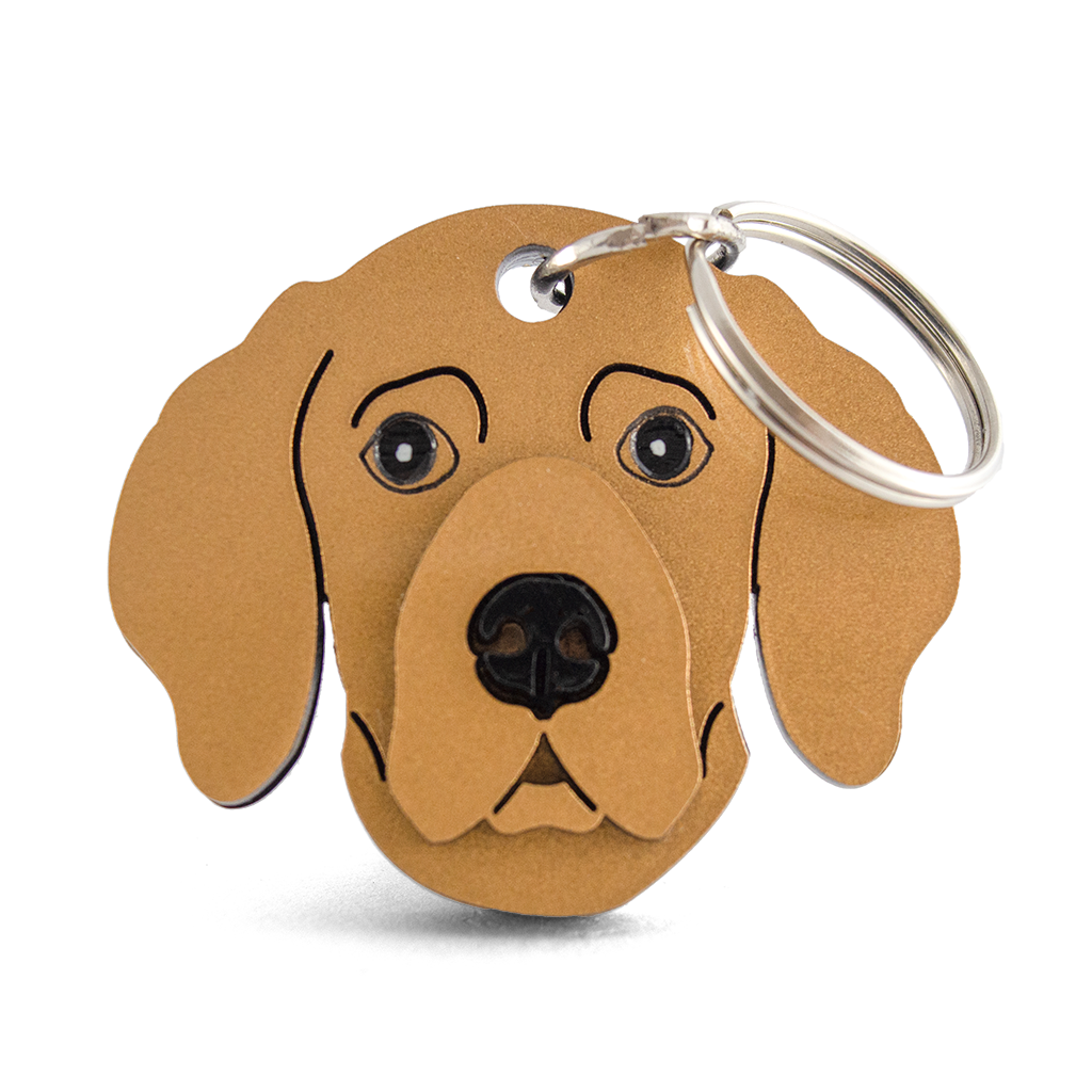 Vizsla Charlie s Paws vizsla-charlie-s-paws