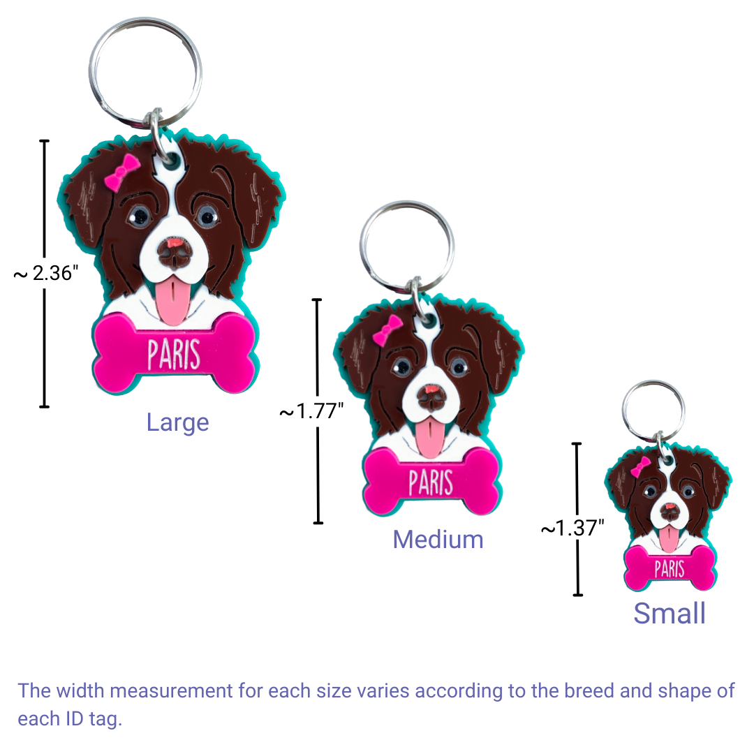 Charlie s Dog ID Tags Charlie s Paws