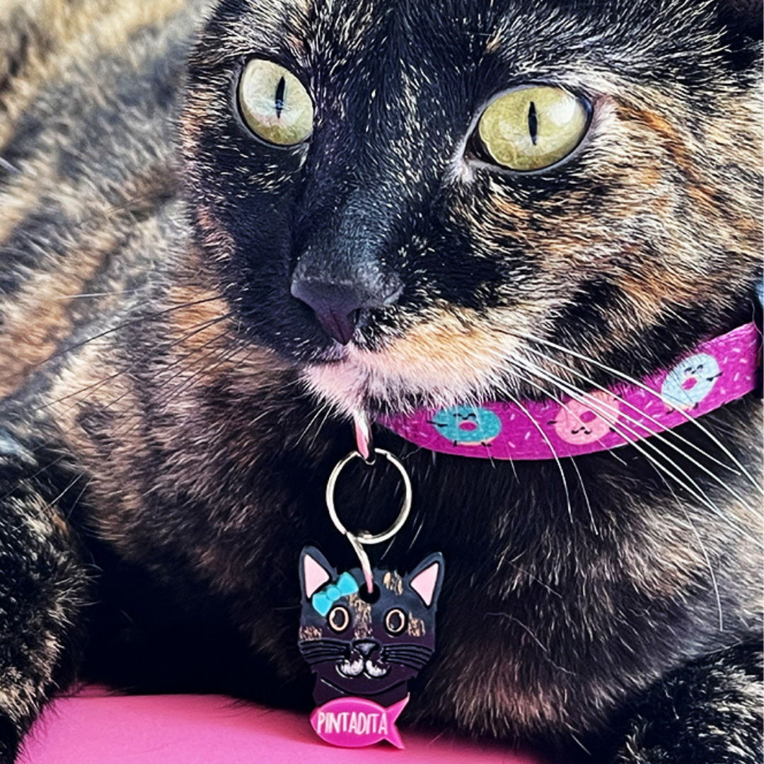 Cat id tags pets at home online