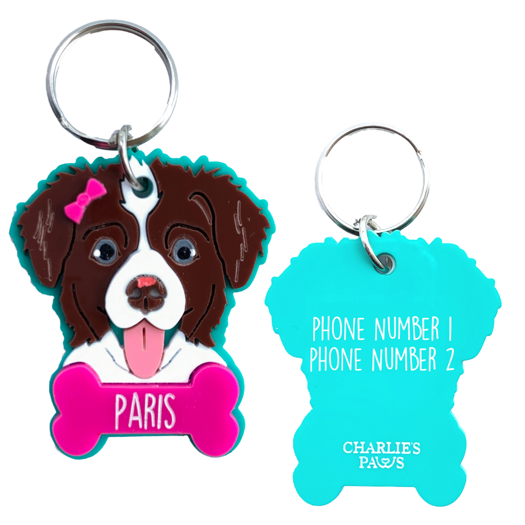 Id tags for dogs near me deals